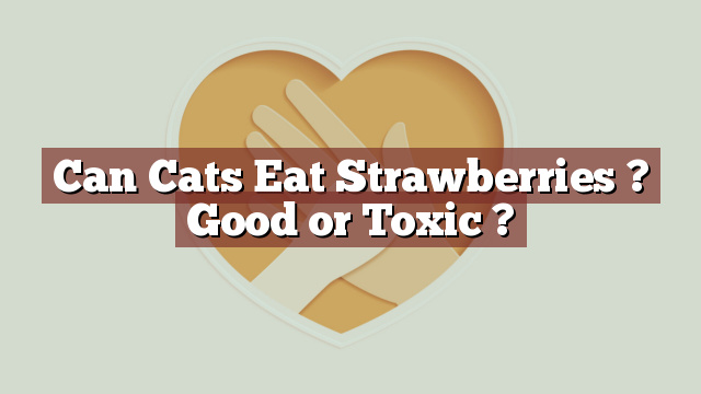 Can Cats Eat Strawberries ? Good or Toxic ?