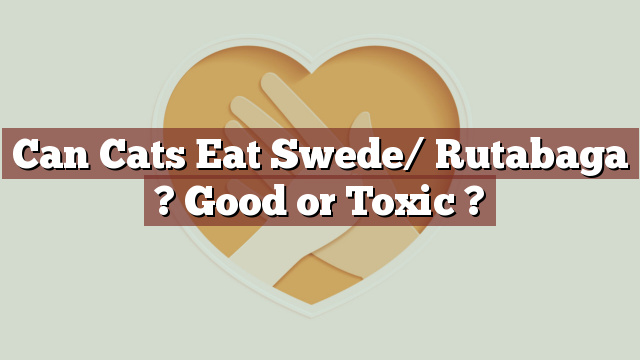 Can Cats Eat Swede/ Rutabaga ? Good or Toxic ?