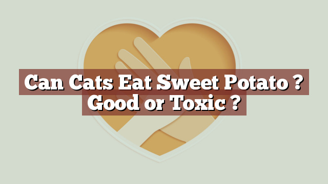 Can Cats Eat Sweet Potato ? Good or Toxic ?