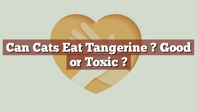 Can Cats Eat Tangerine ? Good or Toxic ?