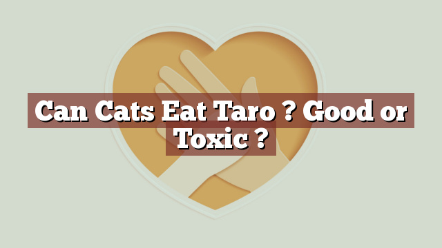 Can Cats Eat Taro ? Good or Toxic ?