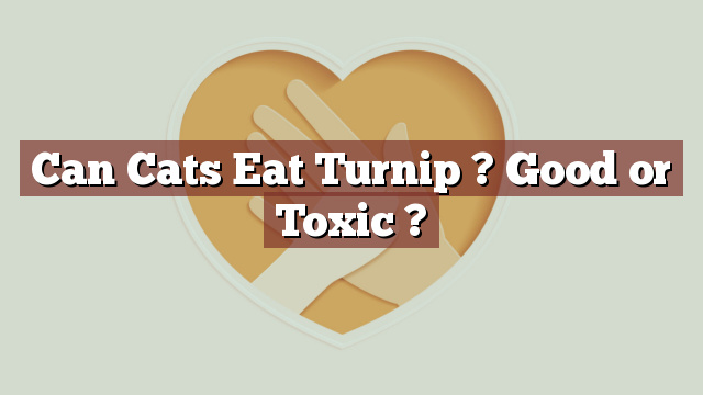 Can Cats Eat Turnip ? Good or Toxic ?