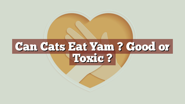 Can Cats Eat Yam ? Good or Toxic ?