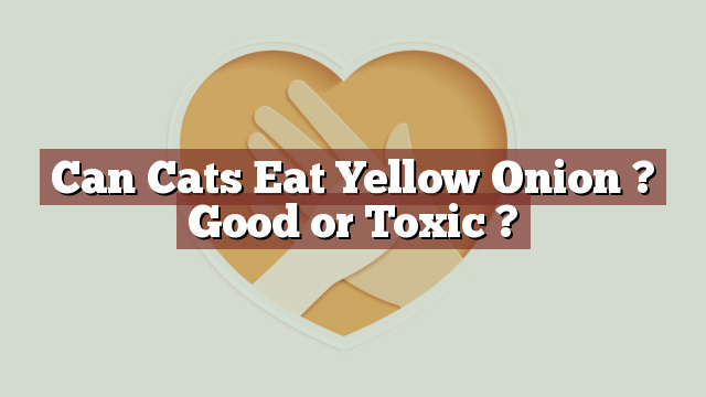 Can Cats Eat Yellow Onion ? Good or Toxic ?