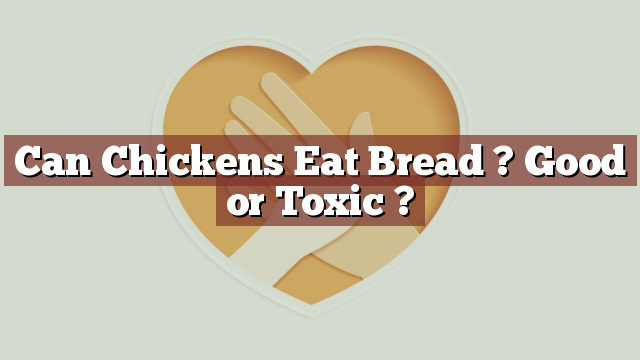 Can Chickens Eat Bread ? Good or Toxic ?