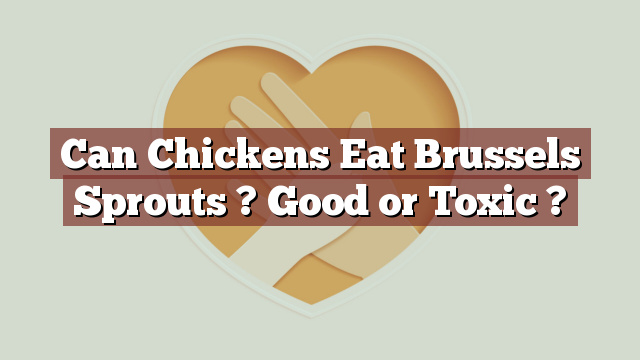Can Chickens Eat Brussels Sprouts ? Good or Toxic ?