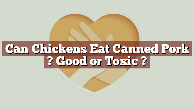 Can Chickens Eat Canned Pork ? Good or Toxic ?