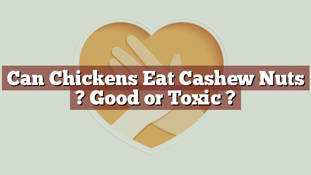 Can Chickens Eat Cashew Nuts ? Good or Toxic ?