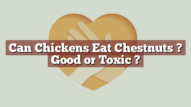 Can Chickens Eat Chestnuts ? Good or Toxic ?