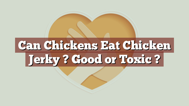 Can Chickens Eat Chicken Jerky ? Good or Toxic ?