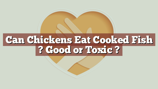 Can Chickens Eat Cooked Fish ? Good or Toxic ?