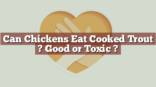 Can Chickens Eat Cooked Trout ? Good or Toxic ?