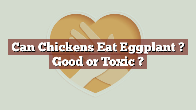 Can Chickens Eat Eggplant ? Good or Toxic ?