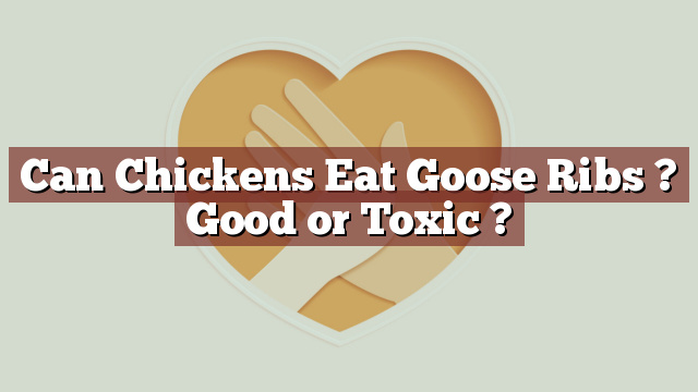 Can Chickens Eat Goose Ribs ? Good or Toxic ?