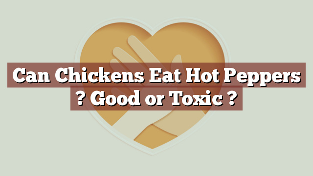 Can Chickens Eat Hot Peppers ? Good or Toxic ?