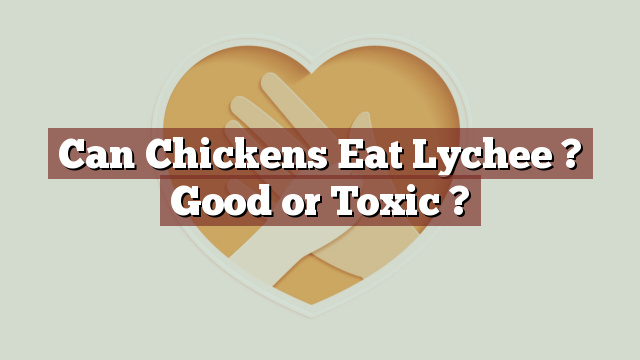 Can Chickens Eat Lychee ? Good or Toxic ?