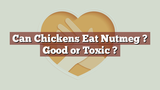 Can Chickens Eat Nutmeg ? Good or Toxic ?