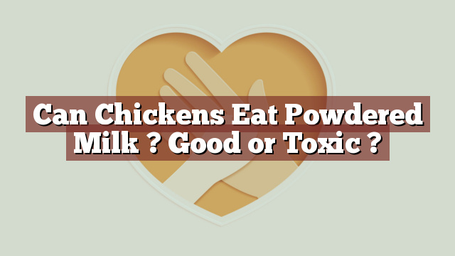Can Chickens Eat Powdered Milk ? Good or Toxic ?