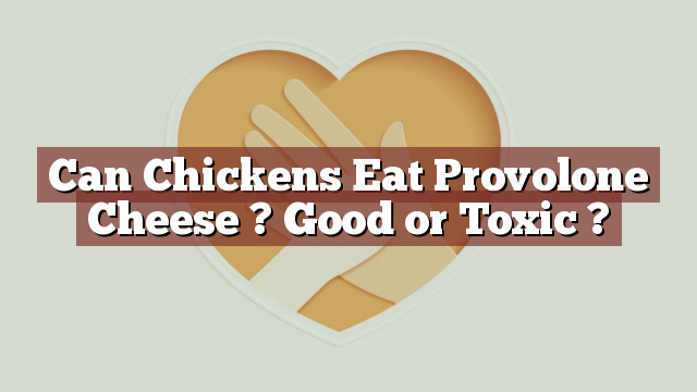 Can Chickens Eat Provolone Cheese ? Good or Toxic ?