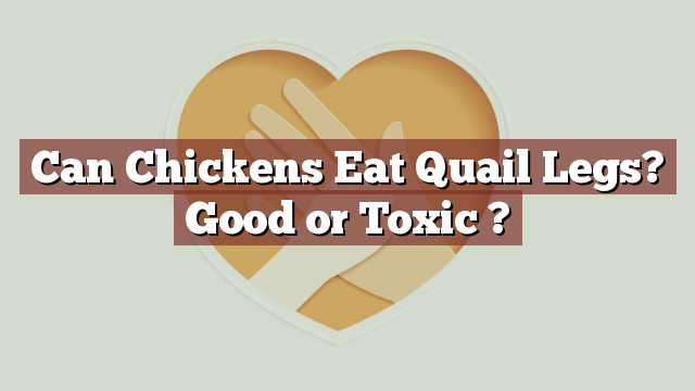 Can Chickens Eat Quail Legs? Good or Toxic ?