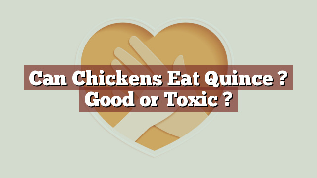 Can Chickens Eat Quince ? Good or Toxic ?
