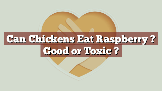 Can Chickens Eat Raspberry ? Good or Toxic ?