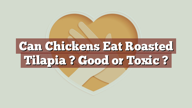 Can Chickens Eat Roasted Tilapia ? Good or Toxic ?