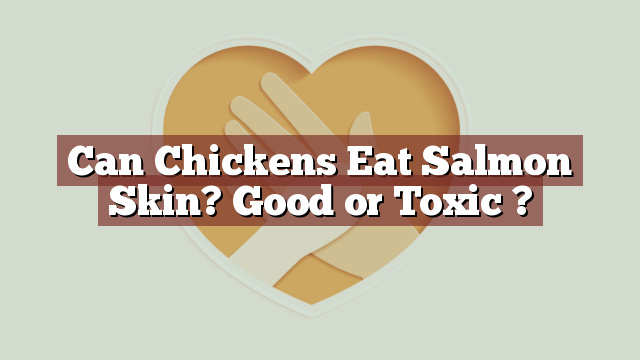 Can Chickens Eat Salmon Skin? Good or Toxic ?