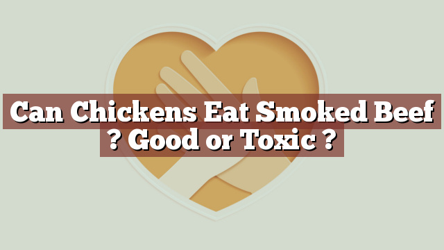 Can Chickens Eat Smoked Beef ? Good or Toxic ?