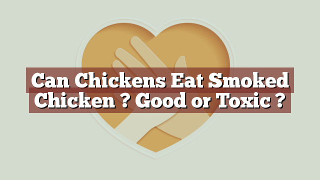 Can Chickens Eat Smoked Chicken ? Good or Toxic ?