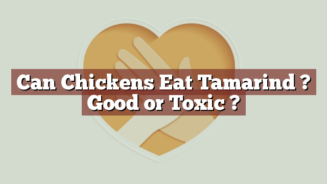 Can Chickens Eat Tamarind ? Good or Toxic ?