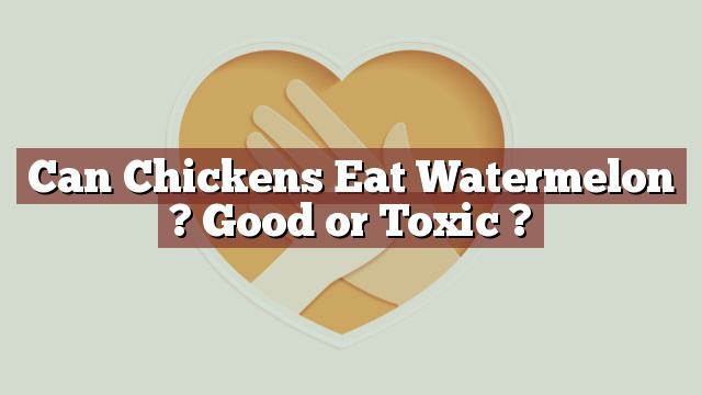 Can Chickens Eat Watermelon ? Good or Toxic ?