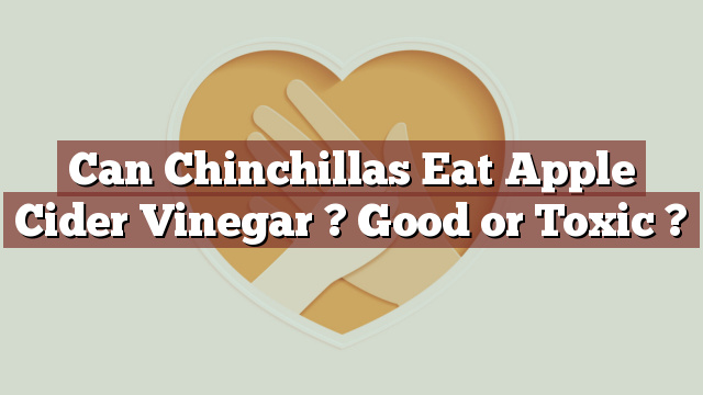 Can Chinchillas Eat Apple Cider Vinegar ? Good or Toxic ?