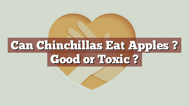 Can Chinchillas Eat Apples ? Good or Toxic ?