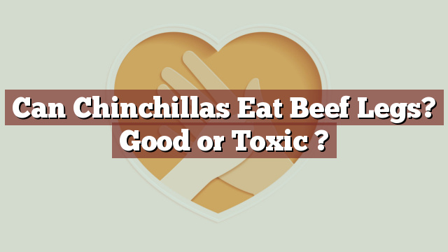 Can Chinchillas Eat Beef Legs? Good or Toxic ?