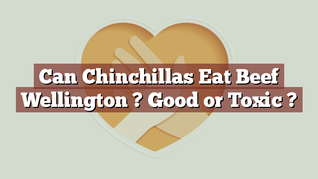 Can Chinchillas Eat Beef Wellington ? Good or Toxic ?