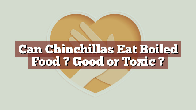 Can Chinchillas Eat Boiled Food ? Good or Toxic ?
