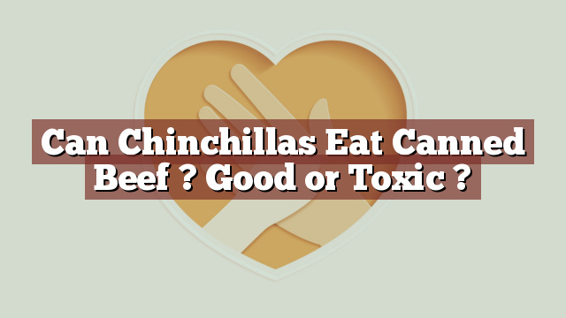 Can Chinchillas Eat Canned Beef ? Good or Toxic ?
