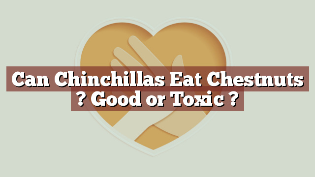 Can Chinchillas Eat Chestnuts ? Good or Toxic ?
