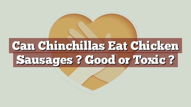 Can Chinchillas Eat Chicken Sausages ? Good or Toxic ?