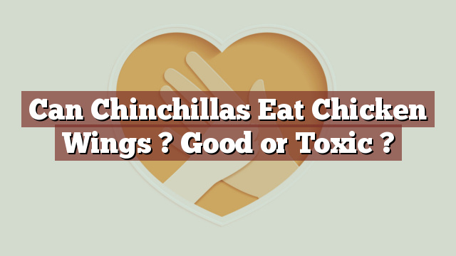 Can Chinchillas Eat Chicken Wings ? Good or Toxic ?