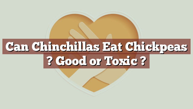 Can Chinchillas Eat Chickpeas ? Good or Toxic ?