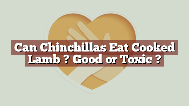Can Chinchillas Eat Cooked Lamb ? Good or Toxic ?
