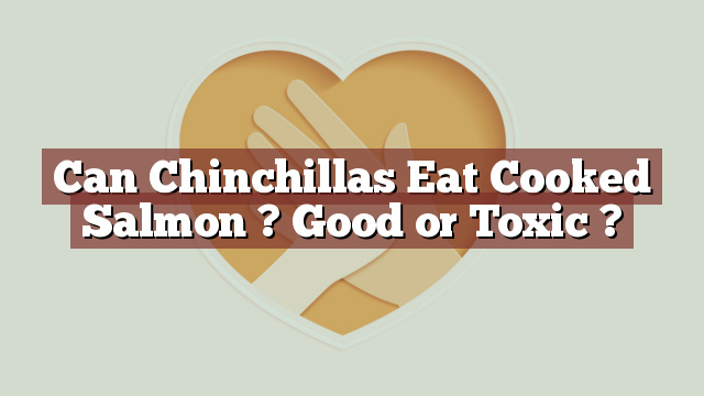 Can Chinchillas Eat Cooked Salmon ? Good or Toxic ?