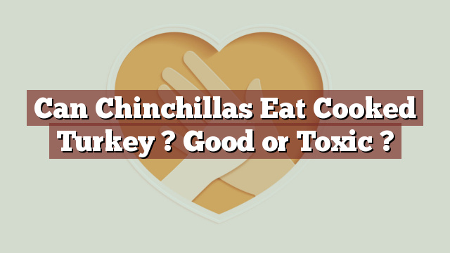 Can Chinchillas Eat Cooked Turkey ? Good or Toxic ?