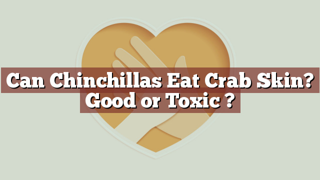 Can Chinchillas Eat Crab Skin? Good or Toxic ?