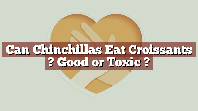 Can Chinchillas Eat Croissants ? Good or Toxic ?