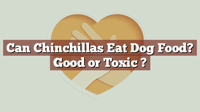 Can Chinchillas Eat Dog Food? Good or Toxic ?