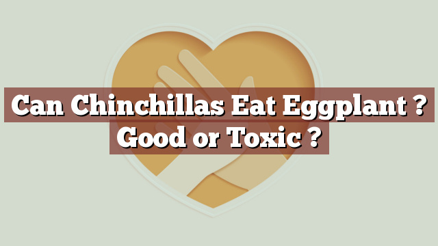 Can Chinchillas Eat Eggplant ? Good or Toxic ?