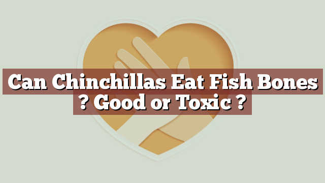 Can Chinchillas Eat Fish Bones ? Good or Toxic ?